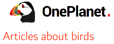 OnePlanet Environmental English logo